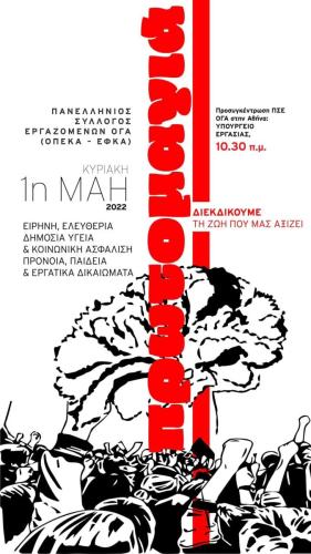 279216560 3267075763576475 2922874047829438915 n